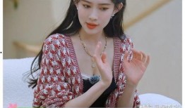 娱乐爆料李兰迪视频播放,娱乐圈真相再起波澜